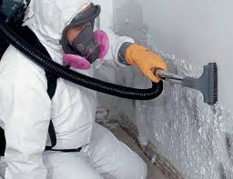 Reliable Lauderdale Lakes, FL Mold Removal Services Solutions